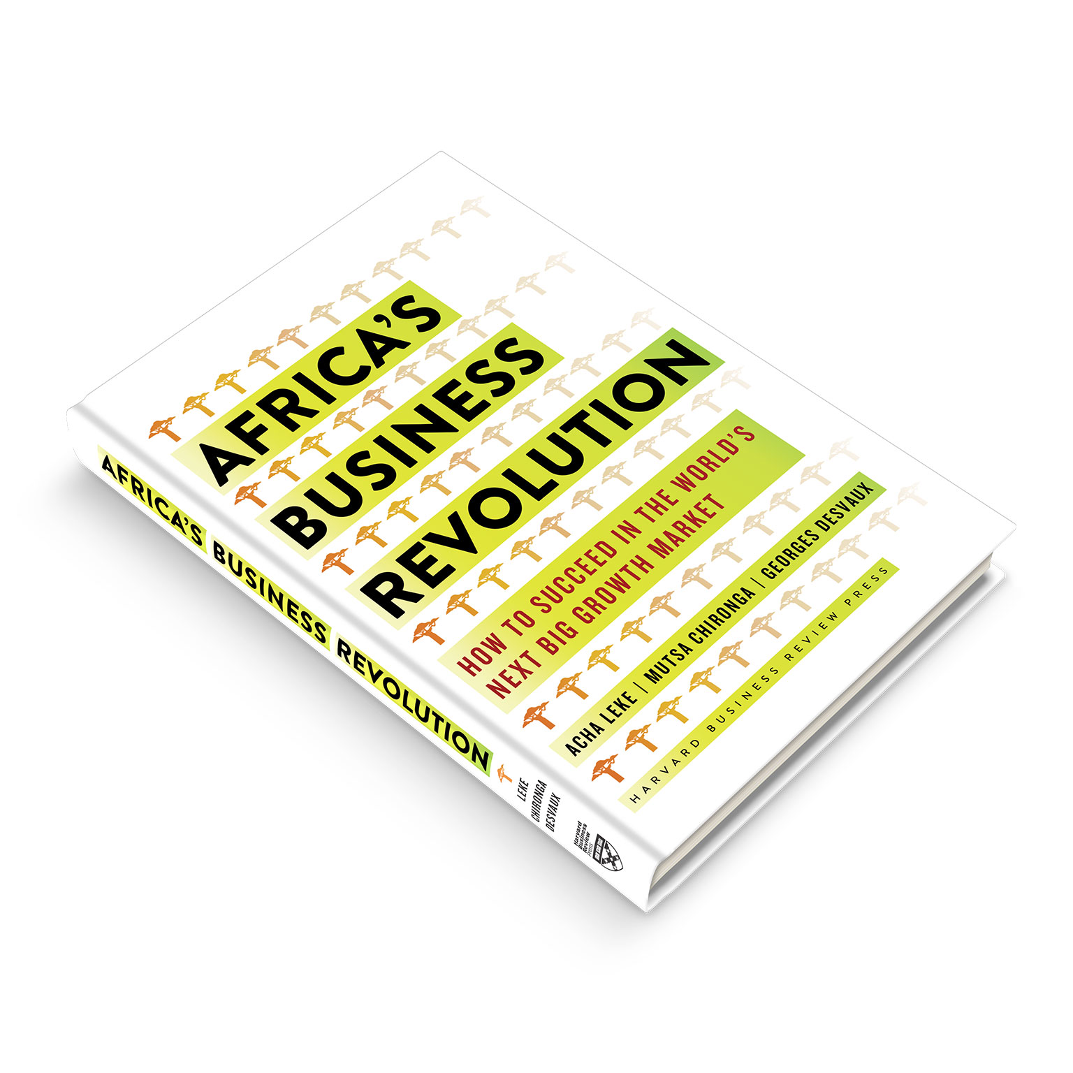 Africa's Business Revolution: How to Succeed in the World's Next